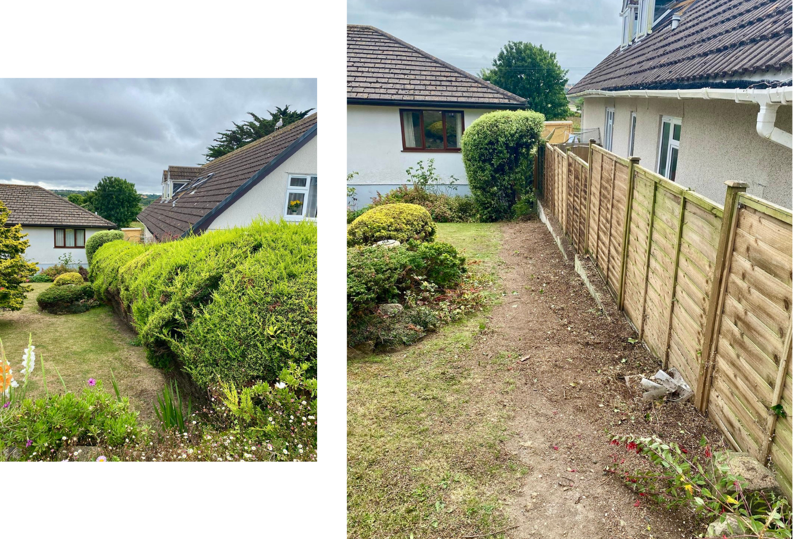 before and after residential bush removal