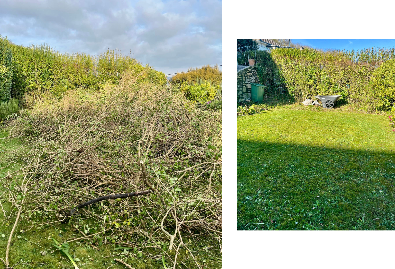 before and after residential green waste clearance